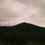 Profile Picture of robert_kochiev_ (@robert_kochiev_) on Instagram