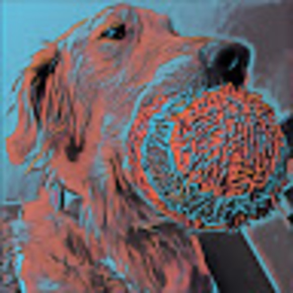 Profile Picture of Sean Packwood (@spackmanbr) on Poshmark