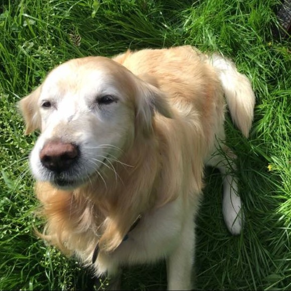 Profile Picture of Nathan Epstein (@bluedawg1965) on Poshmark