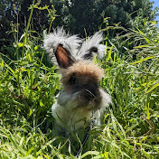 Profile Picture of Lucy Goodman (@lucygoodman3242) on Youtube