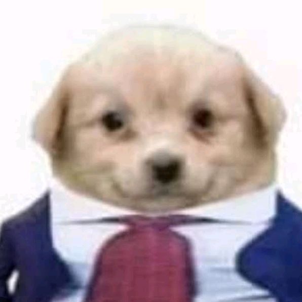 Profile Picture of AlexMiguel (@alexmiguelvc) on Tiktok