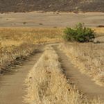 Profile Picture of Chris Karas (@karasphotography.38) on Instagram