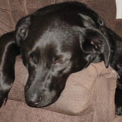 Profile Picture of Loretta Hoskins (@LRHoskins) on Twitter