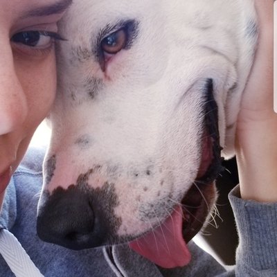 Profile Picture of Sandy H. Barrera (@SandyHBarrera1) on Twitter