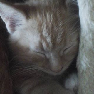 Profile Picture of Kathy Holbrook Allen (@kathy.holbrookallen) on Facebook