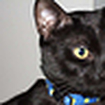 Profile Picture of John Mitchell (@JMitchellSC) on Flickr