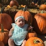 Profile Picture of Michael Feola (@feolamichael) on Instagram