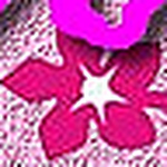 Profile Picture of Sinhá Moça Artesanatos (@sinhá moça artesanatos) on Flickr
