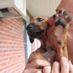 Profile Picture of Christopher Shields (@paxmundi_) on Instagram