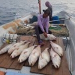 Profile Picture of (صیاد جاسکی) (@_sayad_fishing_jaski_) on Instagram