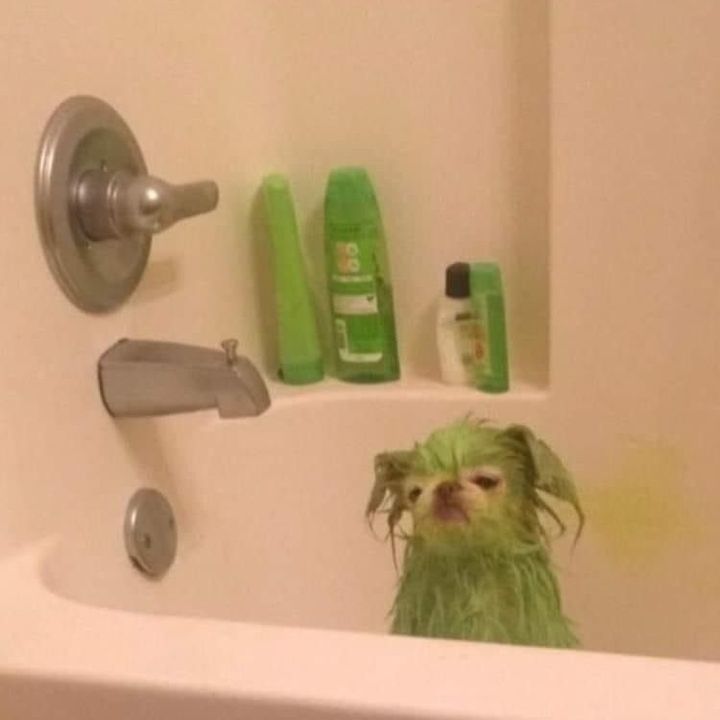 Profile Picture of anjajacobs (@anja_jacobs) on Tiktok