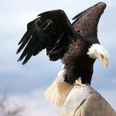 Tesfaye Assefa - Twitter Profile Picture of Tesfaye Assefa (@tesfayeassef) on Twitter