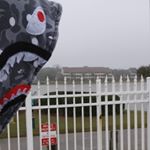 Profile Picture of Candi Harper (@what_2do_what2do) on Instagram