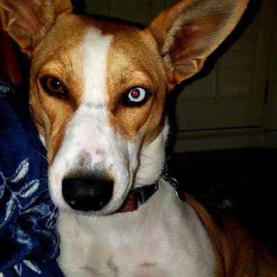 Dee - Twitter Profile Picture of Dee (@BrittDee1634) on Twitter