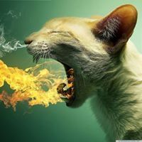 Profile Picture of Jose Miguel Tamayo (@josetamayo2000) on Pinterest