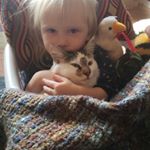 Profile Picture of Steve O'Neal (@smoneal62) on Instagram