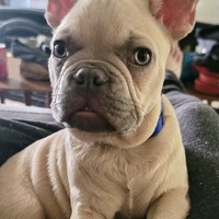 Profile Picture of Whitney Nichole (@whitney-nichole-8) on Quora