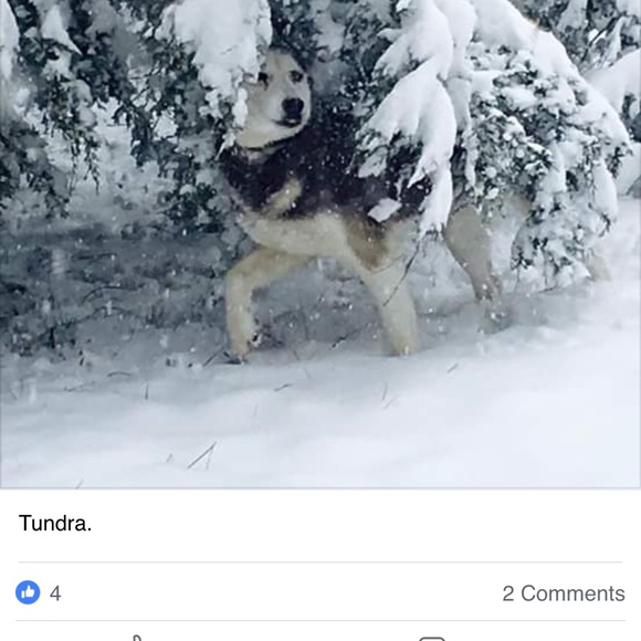 Gina Granstaff - Poshmark Profile Picture of Gina Granstaff (@ginagranstaff) on Poshmark