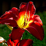 Gazruthy - Flickr Profile Picture of Gazruthy (@gazruthy) on Flickr