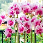 Profile Picture of Juana Luis (@Juana-Luis) on Facebook