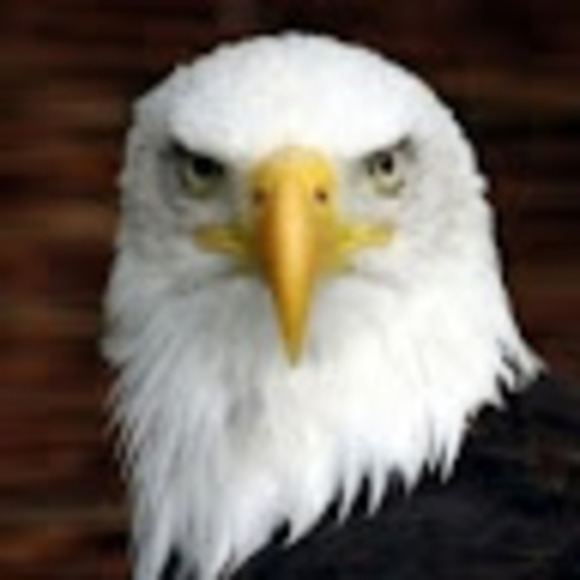 Profile Picture of Donald Applegate jr (@donaldapplegate) on Poshmark