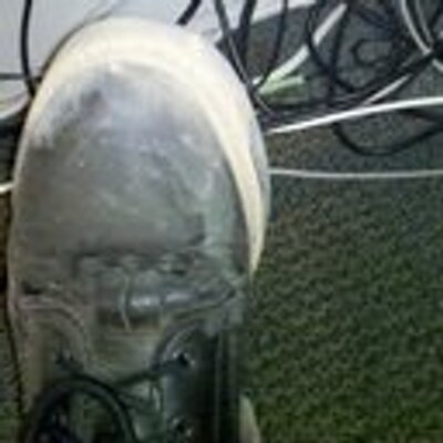 Profile Picture of Amy Farrell (@amyfarrell18) on Twitter