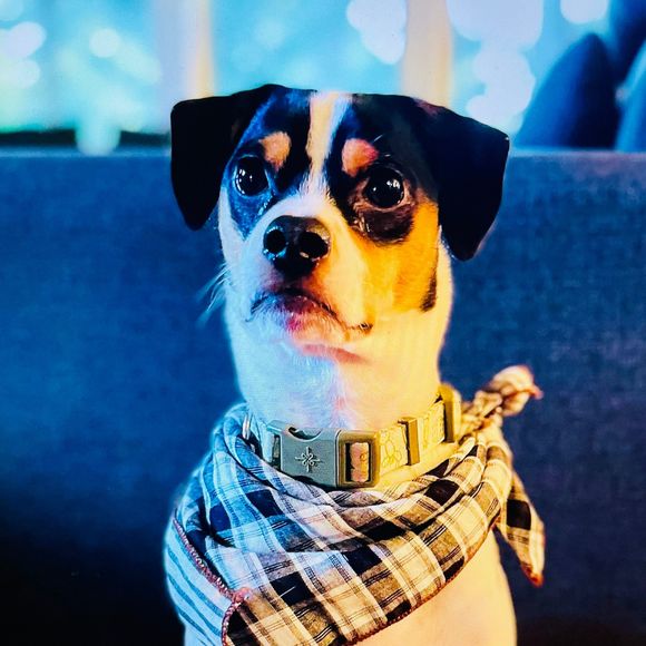 Profile Picture of Rudy Catlow (@chriscatlow2020) on Poshmark