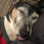 Profile Picture of Kyle Lanier (@autismdad143) on Instagram