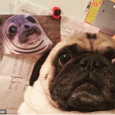 Profile Picture of Ole.lerbrekk (@lerbrekk_ole) on Twitter