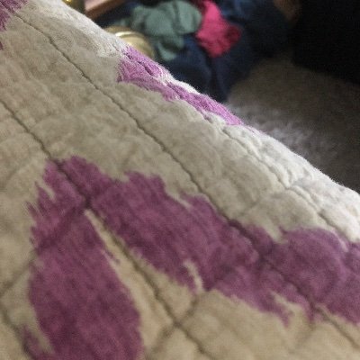 Profile Picture of Andrew Duck (@Andrewduck17) on Twitter
