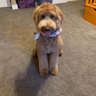 Profile Picture of Emily Scheller (@EmilyScheller14) on Twitter