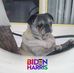 Profile Picture of Brian E. Martin (@brian.e.martin.14) on Facebook