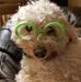 Profile Picture of Dawn Charters (@dawn.charters.376) on Facebook