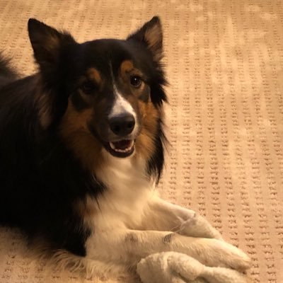 Jeffrey J - Twitter Profile Picture of Jeffrey J (@a62olds) on Twitter