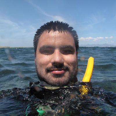 Profile Picture of Luis Miguel Montillⓐ (@Luismmontilla) on Twitter