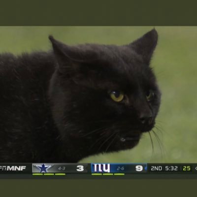 Profile Picture of Sean Snow (@realness787) on Twitter