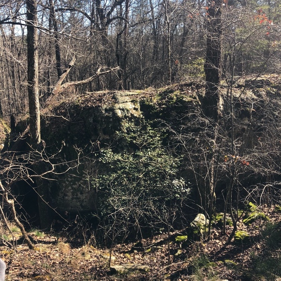 Profile Picture of Marty Hatala (@drhatala) on Poshmark