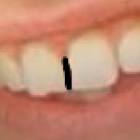 Profile Picture of   Timmy Andrews... (@tiktoker.insucurities) on Tiktok