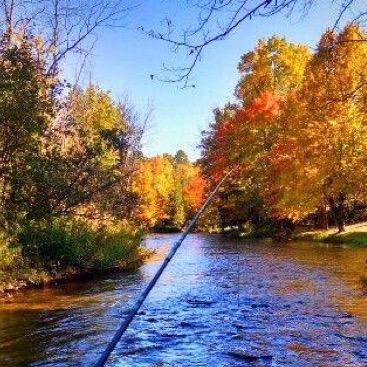 Profile Picture of Eric Weller (@PA_bugslinger) on Twitter