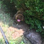 Profile Picture of ben_novelline (@ben_novelline) on Instagram