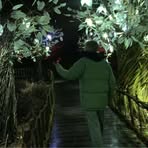 Profile Picture of Felix Giles (@felix.giles.9) on Facebook