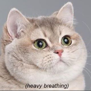 Profile Picture of Cory Kilduff (@corykilduff) on Facebook