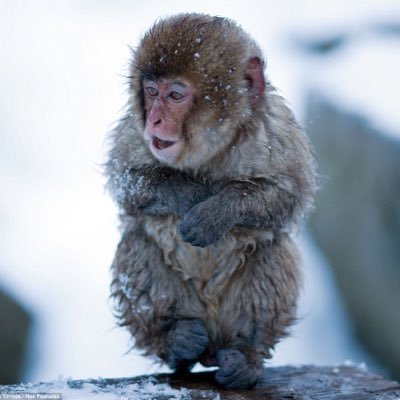 Profile Picture of Patrick Hackney (@patrickxhunter) on Twitter