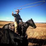 Profile Picture of Brad Haug (@haugbrad75) on Instagram