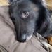 Profile Picture of Alec Thomas (@alec.thomas.9406) on Facebook