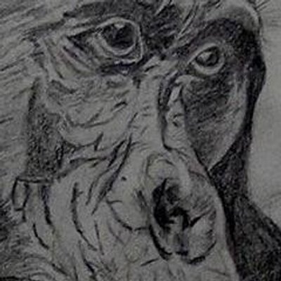 Profile Picture of Stephen V. Ramey (@svramey) on Twitter