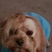 Profile Picture of Mark Schirmer (@mark.schirmer.3) on Facebook