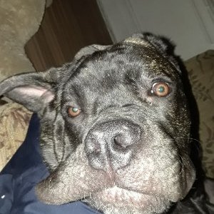 Profile Picture of Derek Bishop (@Derek26312092) on Twitter