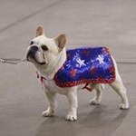 Profile Picture of Doo Weon Choi (@dandifrench) on Instagram