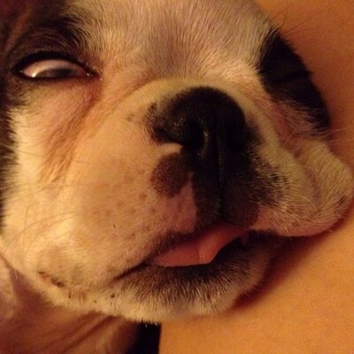 Profile Picture of James Lukens (@jalukens) on Twitter